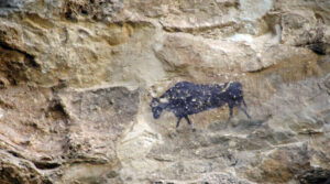 pinturas rupestres el torico